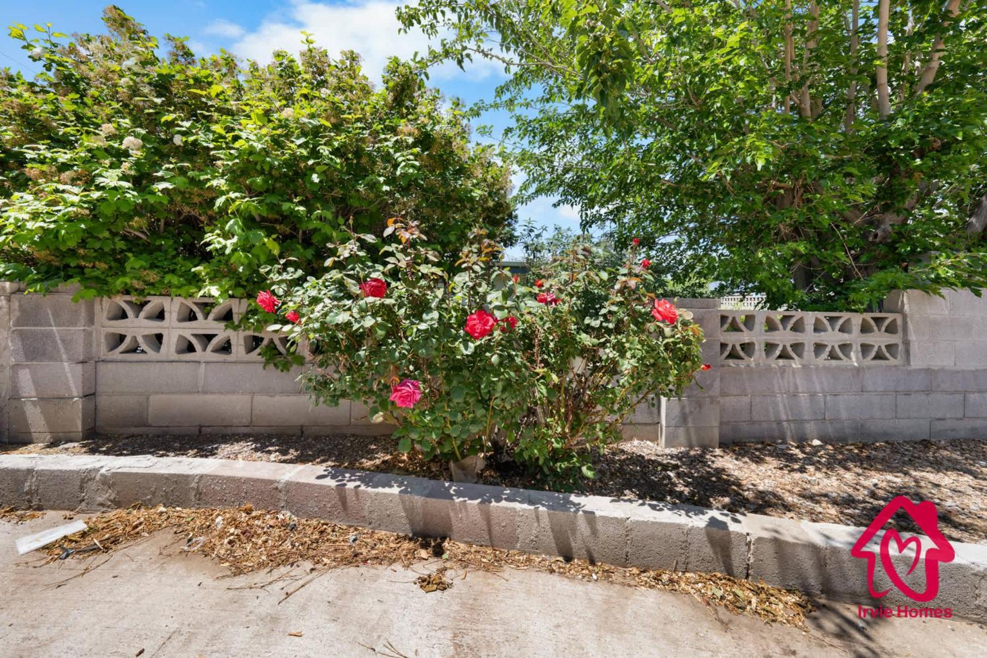 Chapala Charm 6Br Family Oasis - An Irvie Home Альбукерке Экстерьер фото